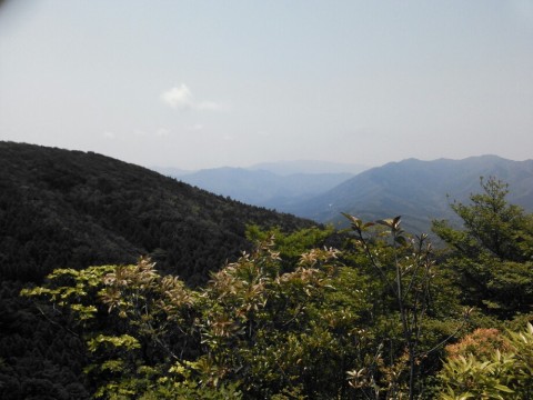 ia8crcdadnnt3d9f6aur_920_690-0015a657.jpg