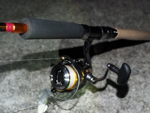 iafkbk72vo35kgymc9tb_480_480-a6270e39.jpg