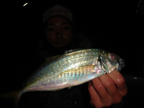 iakwQnMRbtYSgvrf2RJU_480_480-8b1e2613.jpg