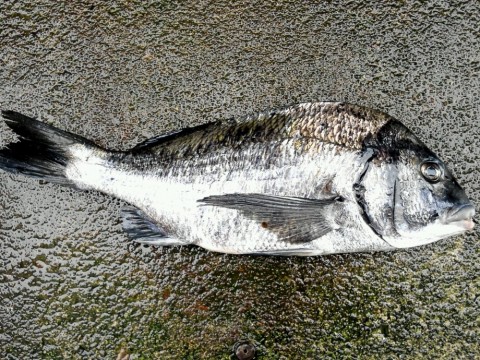 ianryy67trevpdph2bno_920_690-09eff39d.jpg
