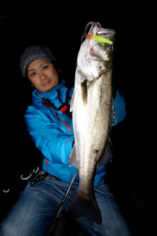 iaxshxxnzm2ro4euxaki_480_480-f46616d1.jpg