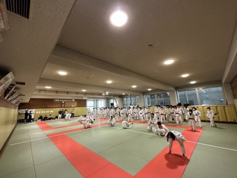 ibg25ajybyayhw5ygahy_480_480-3a724620.jpg