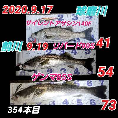 icpckfitgshm4evk79ap-321ff51f.jpg