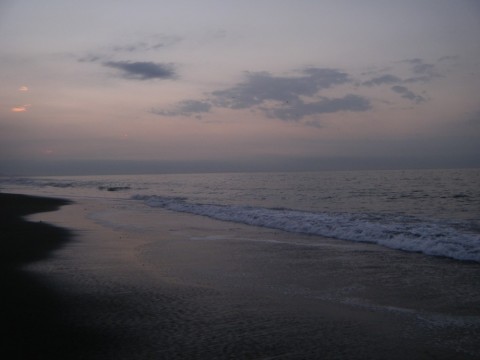 icrvob8oixkwesryy7xf_480_480-645e0c60.jpg