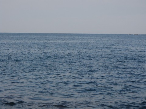 icvxpf7jsr3ka5m7shm3_480_480-00676424.jpg