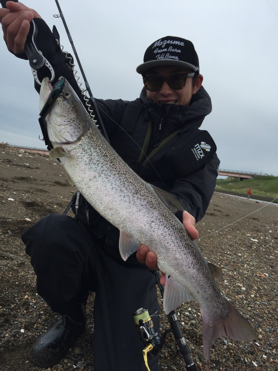 ブログ 日本三大怪魚 魚鬼 イトウ ブログ 日本三大怪魚 魚鬼 イトウ