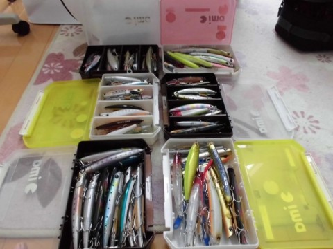 icwe2xi275iojcghhgxe_480_480-ac50d30f.jpg