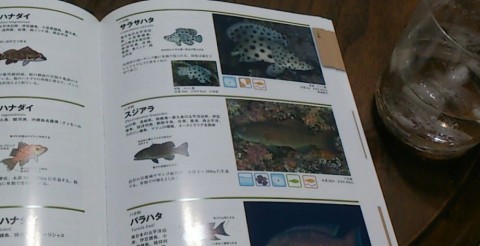 id2vsr5ziy5w73ocy9si_480_480-49fb4231.jpg