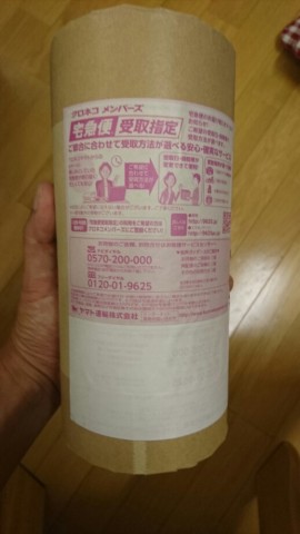 idsrm6fax6t4msxp5kmm_518_920-13100e0f.jpg