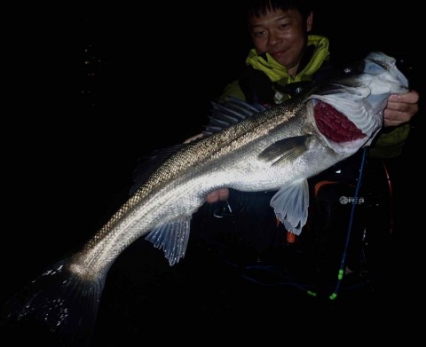 idupcd9puewsnkjrz3t2_480_391-322df117.jpg