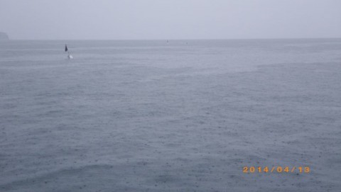 idwr7sgt7miyrg79skic_480_480-ccdc3988.jpg