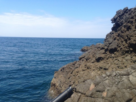 ie4wj7ypnsscmto48w9e_480_480-b9cc8772.jpg