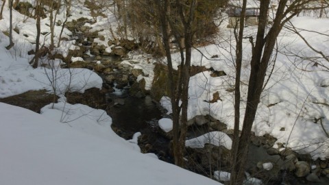 ie53bogburn9r9wf5awr_480_480-e5985541.jpg