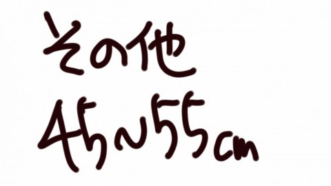 ieh5ftwrj37w7c87cmz9_480_480-3d7d7269.jpg