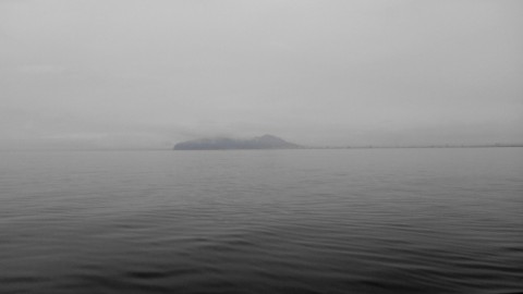 iekcbreru8t6ieoi54ko_480_480-06c63664.jpg