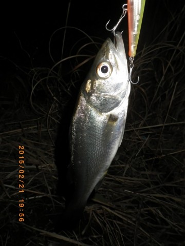 if2okvubjwibydynrx42_480_480-54876be9.jpg