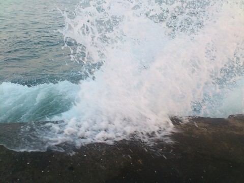 ifjwgx2axb8bc85b9ypi_480_480-9cf80e0c.jpg