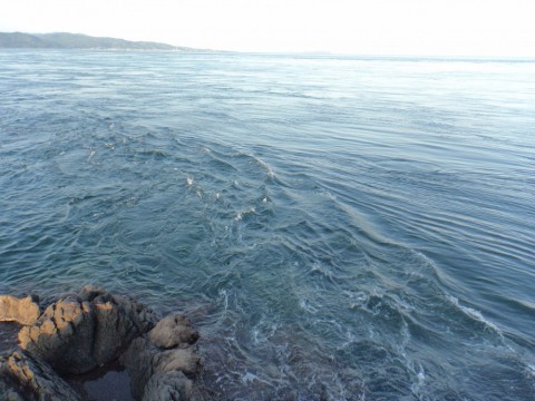 ifwh62oshz95j5zv34tz_480_480-9e9512d9.jpg