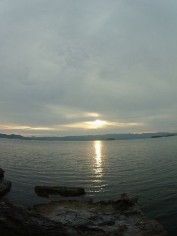 ifytpyk27gw3pynz8bb2_480_480-9ad508e7.jpg