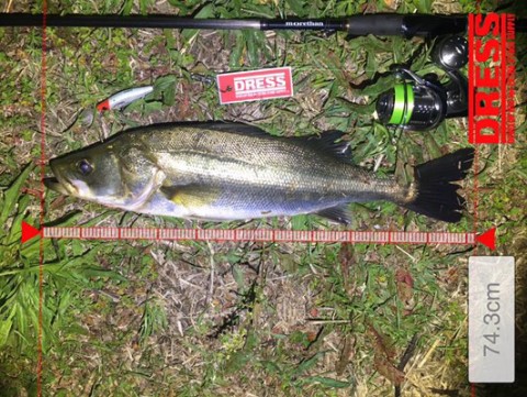 ig4x2845g9ifbf34tjam_480_361-071e5e23.jpg