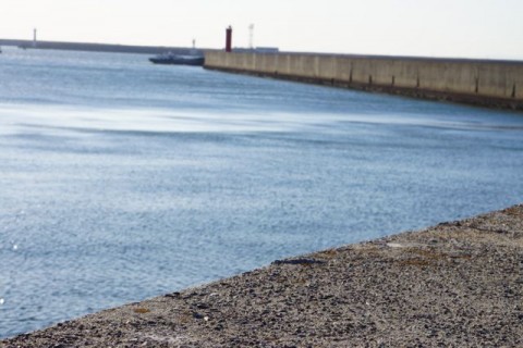 igbhvw43iw4mu26yjun5_480_480-c8e9eedd.jpg
