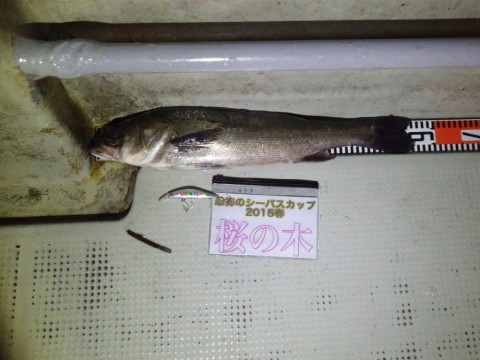 igouzvirkj49njpvz3do_480_480-a3f83953.jpg