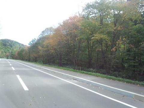 igyr488i28tydi266si9_920_690-1141ae05.jpg