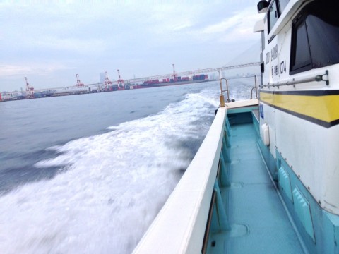 ii57ib5wore768xohxt8_920_690-75b2a7b1.jpg