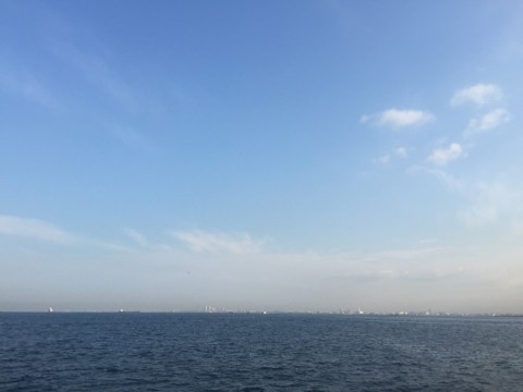 iidykczhtfvnpzivzbj7_480_480-79b83399.jpg