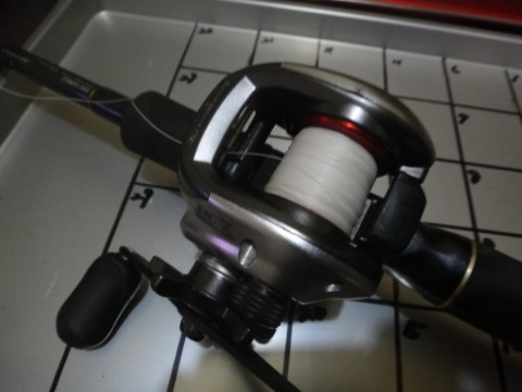 iie8pbkuto8jyozwyt5r_480_480-fa9ca1fc.jpg