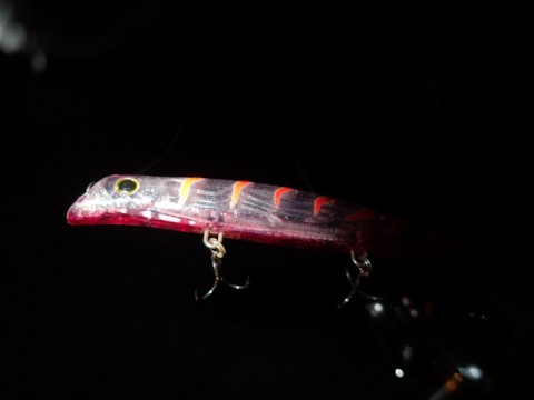 iitgyspeku9uzpx7brhe_480_480-69037253.jpg