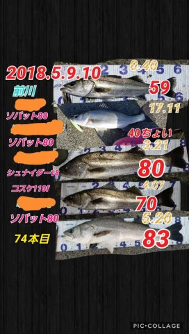 iitooj88589fc2y34igg_480_480-69cc8f44.jpg