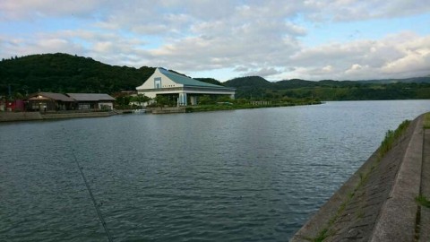 iiumwv624ogghkm535dn_480_480-0946b090.jpg