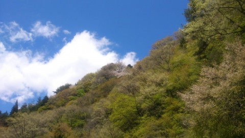 ij3ndz68px3t8fjy9kun_480_480-ec0b4a43.jpg
