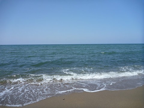 ij43ywdj5tah3a4snbgt_480_480-d30d8f54.jpg