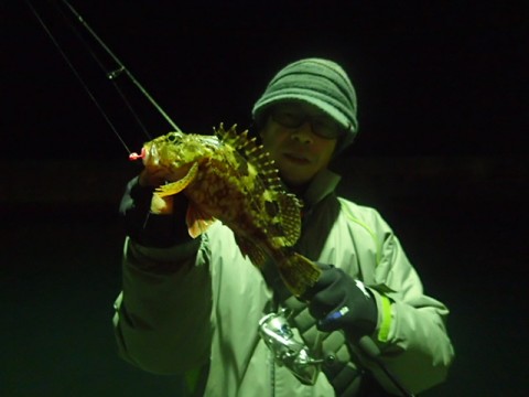 ijhrizftrvnh5f6m3ymv_480_480-15ba6099.jpg