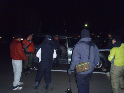ijr9scgmsr5kh9hnf334_480_480-d74e10bb.jpg