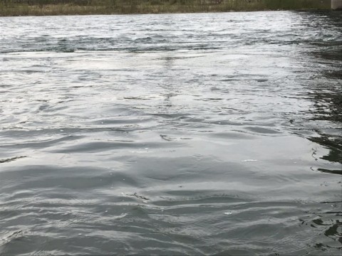ijviwroin3min8dij5h6_480_480-e2256917.jpg
