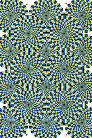 ikmf56z2d23hi9i9svpy_480_480-8b1cb07c.jpg