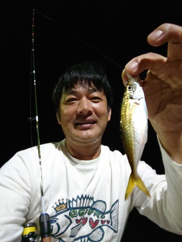 im36x9c9pk9fmkpw5ad2_480_480-ad21fcbb.jpg