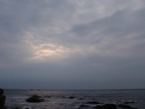 im3som6g3u32esnj88h9_480_480-4ee510db.jpg