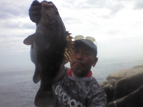 im6utt2hes4uapeywhe9_480_480-a0202352.jpg