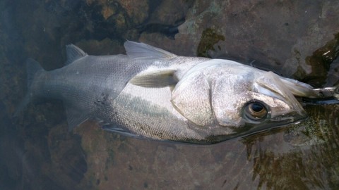 imrnxvtjgjibdwgis99a_920_517-07f3557a.jpg