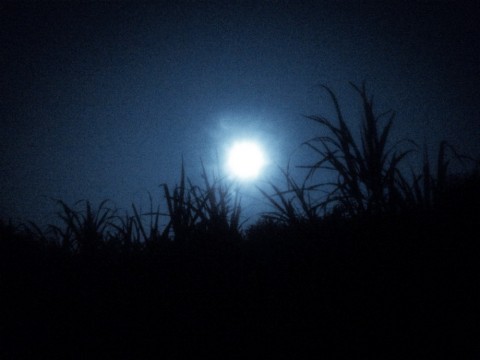 imt8pworxyuzjsfepzxd_480_480-0a0f33ce.jpg
