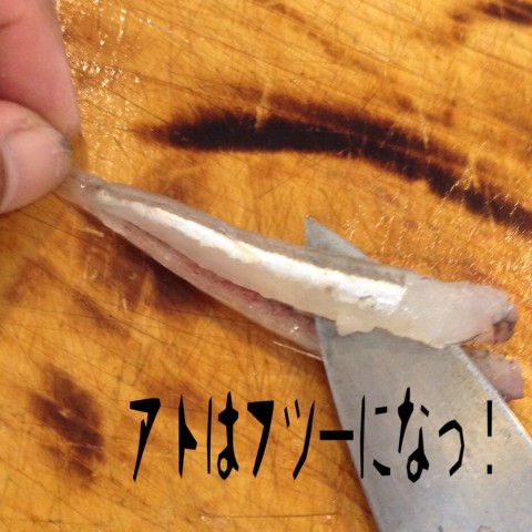 imvgngpobf4fmee2bf9k_920_920-25ddbb4d.jpg