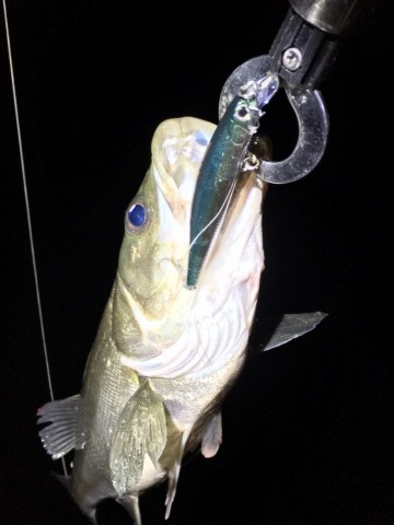 inanbi5kdxaxisfwypxe_480_480-f6bef0b0.jpg