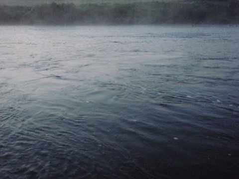 inaocrodhbghnw4nkn4u_480_480-09f1c312.jpg