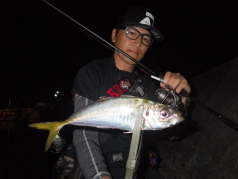 inn3ctrxuboek894okd2_480_361-03d8cb34.jpg