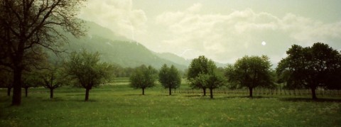 inucgc6uvwmtf3m3uyhz_480_480-c90039ee.jpg