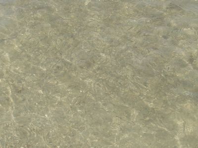 inxw5pp8fcbr44cjxix3-29454cc4.jpg
